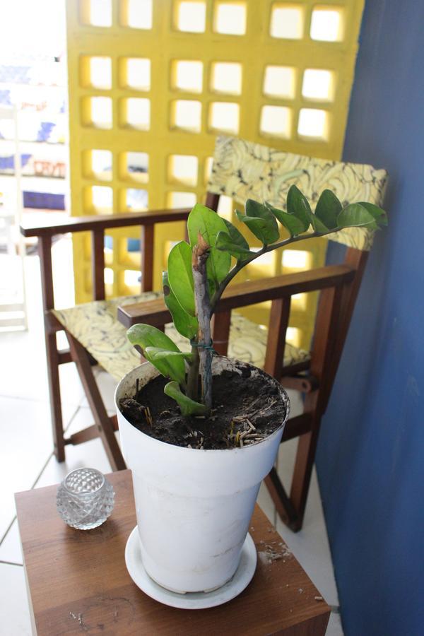 Red River Hostel Salvador da Bahia Dış mekan fotoğraf